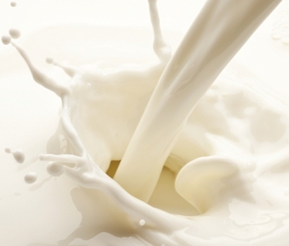 奶类产品 - 牛油及芝士